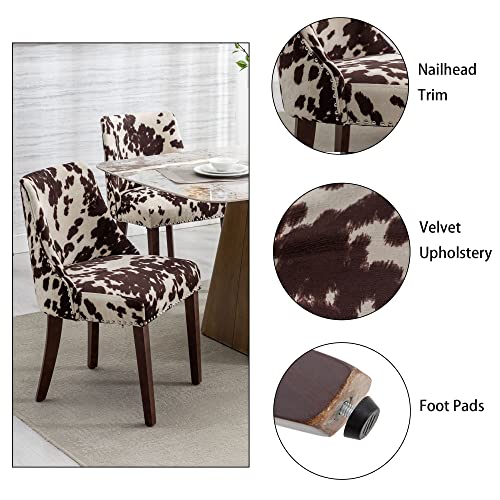 DM Furniture Mid Century Modern Dining Chairs Set of 4 Upholstered Velvet Accent Chairs Wooden Side Chair for Living Room/Dining Room/Bedroom, Cowhide Print
