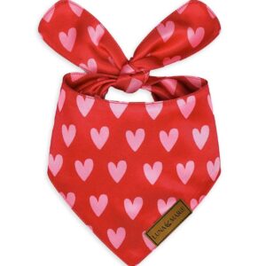 LunaMarie - Luxury Cat and Dog Bandanas - Hearts Designs | Premium Silky Poly Fabric | 100% Handmade Custom Shape Valentine's Day Dog Bandana Multiple Sizes (Evie Hearts, Small)