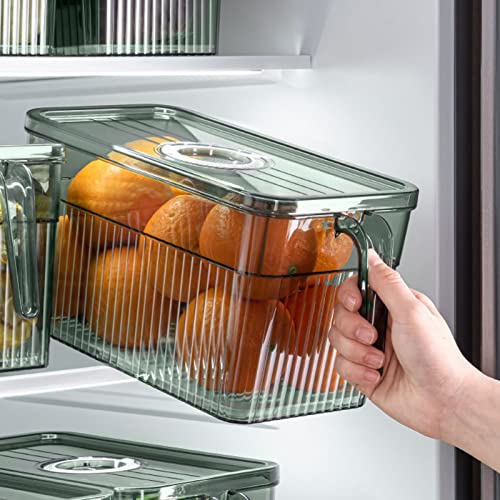 Tnfeeon Refrigerator Organizers Bins, Date Recording Fridge Organizers with Draining Board for Home for Vegetables