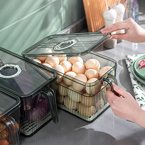 Tnfeeon Refrigerator Organizers Bins, Date Recording Fridge Organizers with Draining Board for Home for Vegetables