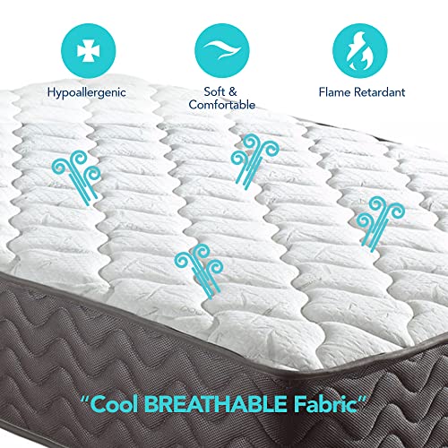 Swiss Ortho Sleep 12" Inch Memory Foam and Innerspring Hybrid Mattress for Cool Sleep & Pressure Relieving Bliss, Medium-Firm Plush Mattress/CertiPUR-US Certified/Bed-in-a-Box, Queen,White