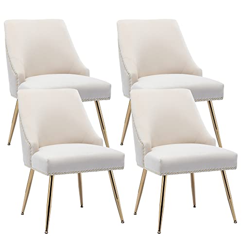 KCC Velvet Dining Room Chairs Set of 4 Nailhead Back Ring Pull Trim with Gold Legs for Kitchen Living Room(Beige)