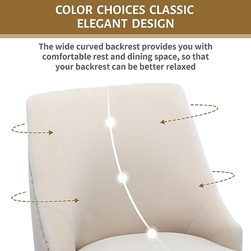 KCC Velvet Dining Room Chairs Set of 4 Nailhead Back Ring Pull Trim with Gold Legs for Kitchen Living Room(Beige)