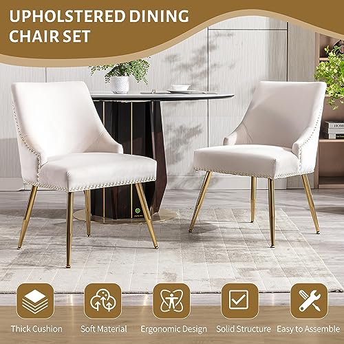 KCC Velvet Dining Room Chairs Set of 4 Nailhead Back Ring Pull Trim with Gold Legs for Kitchen Living Room(Beige)