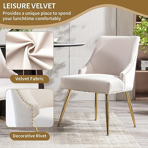 KCC Velvet Dining Room Chairs Set of 4 Nailhead Back Ring Pull Trim with Gold Legs for Kitchen Living Room(Beige)