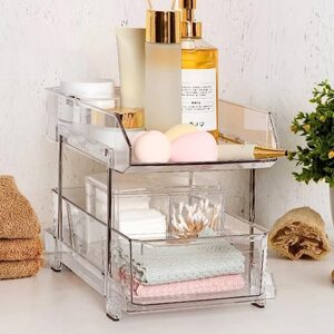 YESBAY Pull Out Organizers and Dividers Desktop Rack Double Layer with Dividers Pull-Out Design Multi-Purpose Stackable Trays Under Sink Closet Organizers Home for Kitchen Bathroom Cabinet Clear