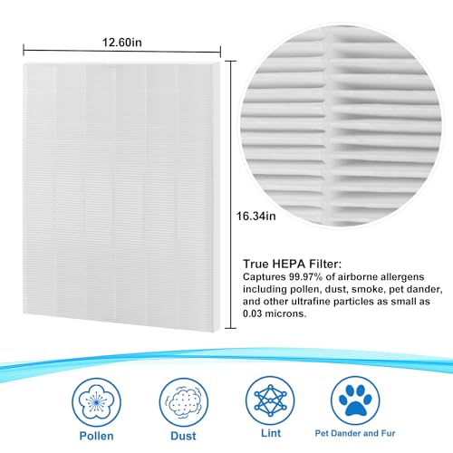 116130 Replacement Filter H for Winix 5500-2 Air Purifier and AM80 Models, Ture HEPA Filter and Activated Carbon Pre-Filters Combo Pack, Part No. 116130 replacement filter (Winix 5500-2- 1 Sets)