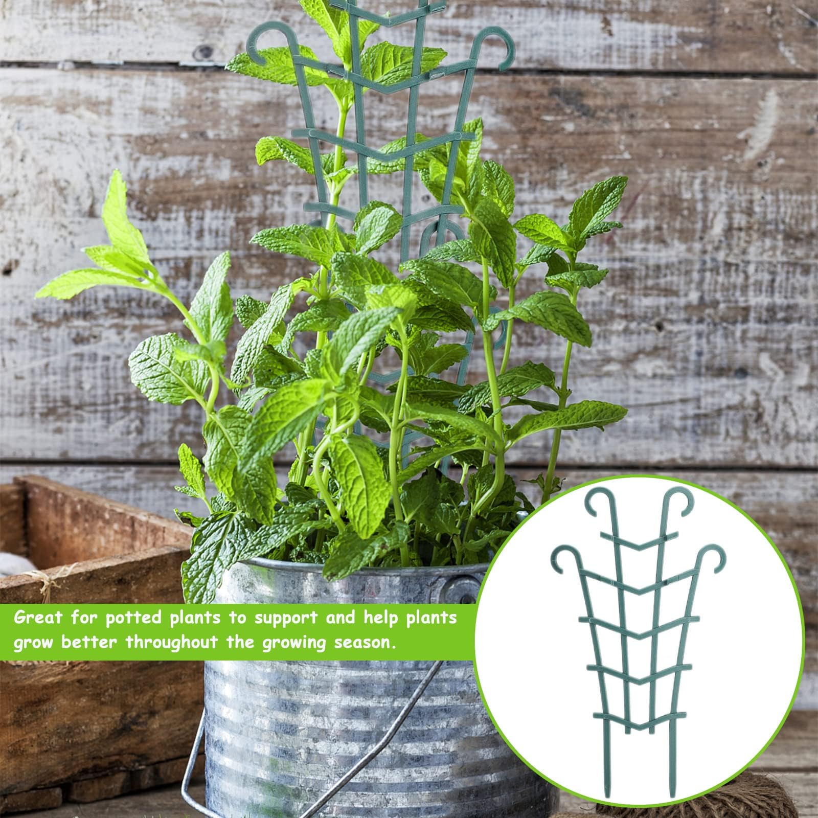 Mini Garden Trellis for Indoor and Outdoor Climbing Plants - Stackable Plant Trellis - Plastic Potted Plant Support (8, Horn Shape)