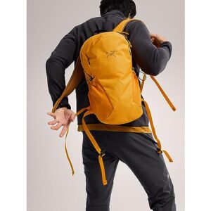 Arc'teryx Mantis 16 Backpack | Sleek Compact 16L Daypack | Edziza, One Size