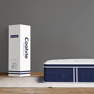 Coolvie Twin XL Mattress 12 Inch, Medium Firm XL Twin Mattress in a Box, Hybrid Individual Pocket Springs with Memory Foam, Cooler Sleep with Pressure Relief and Support