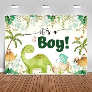 sensfun it's a boy dinosaur baby shower backdrop decorations eucalyptus leaves cartoon jungle dinosaurs photography background boy dino baby shower party kids newborn banner photo booth supplies 7x5ft