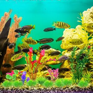 LLMSIX 16PCS Artificial Aquarium Plants Set Fish Tank Decoration Fake Plastic Green Plants Vivid Underwater Plants Ornament Assorted Color for Fish Tank Aquarium Landscaping (4 Styles)