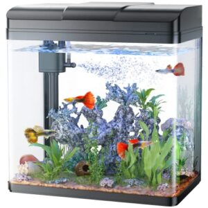 pondon fish tank, 3 gallon glass aquarium with air pump, led cool lights and filter, small fish tank for betta fish starter kit (black)