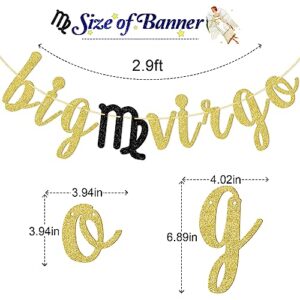 Big Virgo Energy Banner, Pre-strung Zodiac Birthday Banner, August Birthday Banner, September Birthday Banner, 18th 21st 25th 30th 40th Birthday Party Decorations, Gold Glitter