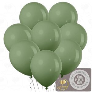 AFTERLOON® Biodegradable Balloons Sage Green 10 Inch 72 Pack, Matte Color Thickened Extra Strong Latex Helium Float, for Baby Shower Gender Reveal Garland Arch Wedding Birthday Party Decorations