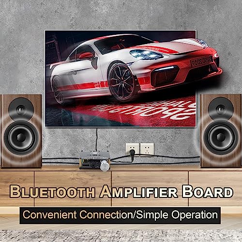C50HS Bluetooth Amplifier Board TPA3116D2 HiFi Chip 12-24V DC Input,Support USB Sound Card/USB Flash, AUX, Bluetooth Multiple Input Modes (C50HS with 12V/5A DC Power Adapter)