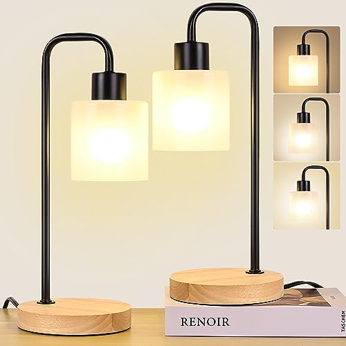 AdiyZ Lamps for Nightstand Set of 2 - Industrial Bedside Table Lamp for Bedroom - Modern Small Desk Light for Living Room 3-Way Dimmable Side Night Lamps for Reading (Black & 2 LED Bulbs Included)