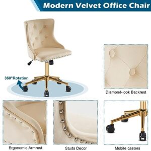 VINGLI Beige Velvet Armless Home Office Desk Chair with Gold Base/Wheels, Small Cute Vanity/Makeup Chair with Back for Bedroom, Upholstered Adjustable Rolling Swivel Nail Chair for Women/Girls