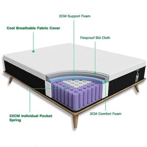 JEEKEA Full Size Mattress in a Box - 10 Inch Memory Foam Mattress Full Size Bed - Hybrid Mattress Full for Back Pain Relief - Medium Firm Mattress with Motion Isolation & Strong Edge Support