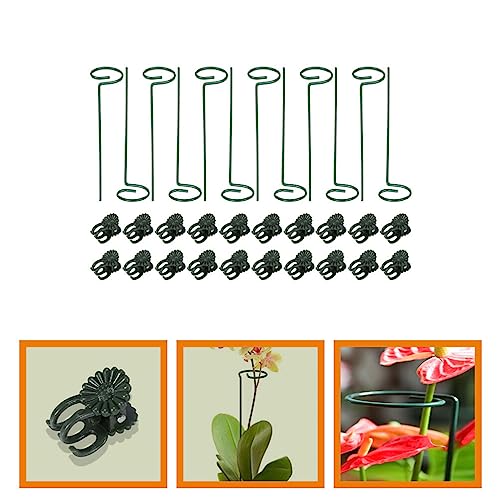 Sosoport Garden Trellis Set with Metal Plant Stakes and Plastic Clips Vine Plant Support Trellis Green Plant Climbing Rack for Amaryllis Orchid Lily Rose Peony Tomatoes Gladiolus