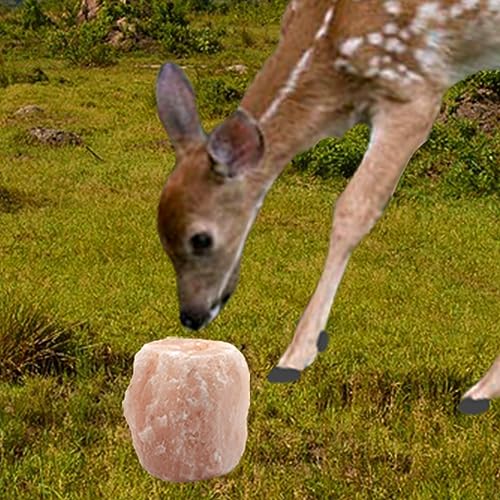 MUYG Himalayan Salt Lick Natural Minerals Block on Rope for Horses,Cattles,Deer,Goat and Other Livestock Long Lasting Original Pink Salt Lick (2.4-3.3 lbs)