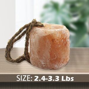 MUYG Himalayan Salt Lick Natural Minerals Block on Rope for Horses,Cattles,Deer,Goat and Other Livestock Long Lasting Original Pink Salt Lick (2.4-3.3 lbs)