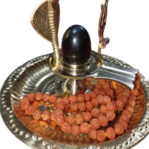 Shaligram Shiva Ling Lingam Shivling Naaga Brass Stand(Thali tirshul 3inch) Shiv Plate Rudraksha mala 108 Stone 6mm