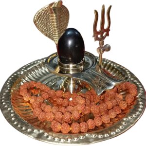 Shaligram Shiva Ling Lingam Shivling Naaga Brass Stand(Thali tirshul 3inch) Shiv Plate Rudraksha mala 108 Stone 6mm