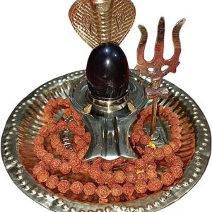 Shaligram Shiva Ling Lingam Shivling Naaga Brass Stand(Thali tirshul 3inch) Shiv Plate Rudraksha mala 108 Stone 6mm