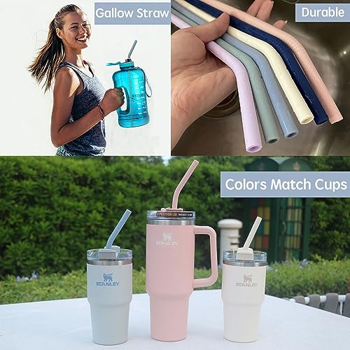 Tegion Pastel Color 14 Inch Extra Long Silicone Replacement Bent Straw for 40 oz Stanley Cup, Reusable Flexible Tall Drinking Straw for Quencher Tumbler with Handle,64 oz/1 Gallon Water Bottle-6 pack