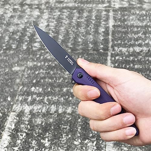 SHOOZIZ HAN312 Pocket Knife Folding Knife for EDC, 3.38" DC53 Steel Blade G10 Handle Folding knife With titanium alloy clip Ceramic ball bearing locating ball Everyday Carry Knife for Men Women (Purple+Black Blade)