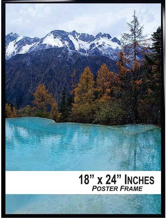 Poster Frame, 18" x 24" with Black Frame, Plexiglass, Vertical or Horizontal Hanging, for Posters or Photos (1)