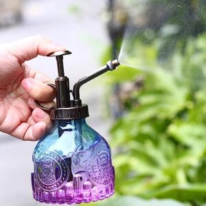 Watering Can Glass Spray Bottle, 200ML Plant Mister, Watering Can with Top Pump for Indoor House Plants, Garden,Cleaning Plant Watering (Color : E)