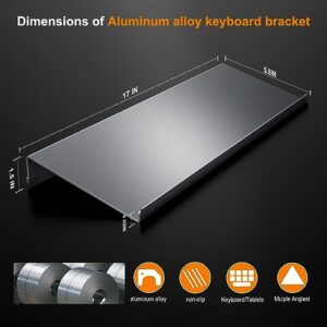 Aluminum Alloy Tilted Computer Keyboard Stand for Easy Ergonomic Typing, Keyboard Tray Holder with Silicone Non-Slip Case for Office Desk, Home, School, Desktop