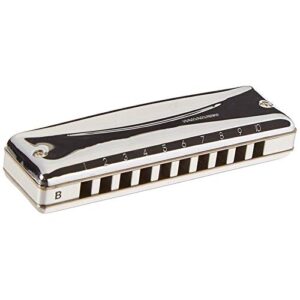 waazvxs diatonic harmonica 10 holes 20 notes blues harp key of c professional musical instruments (color : key of bb)