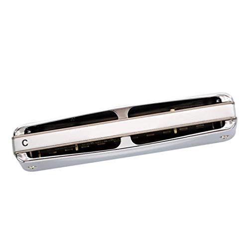 WAAZVXS Diatonic Harmonica 10 Holes 20 Notes Blues Harp Key Of C Professional Musical Instruments (Color : Key of Bb)