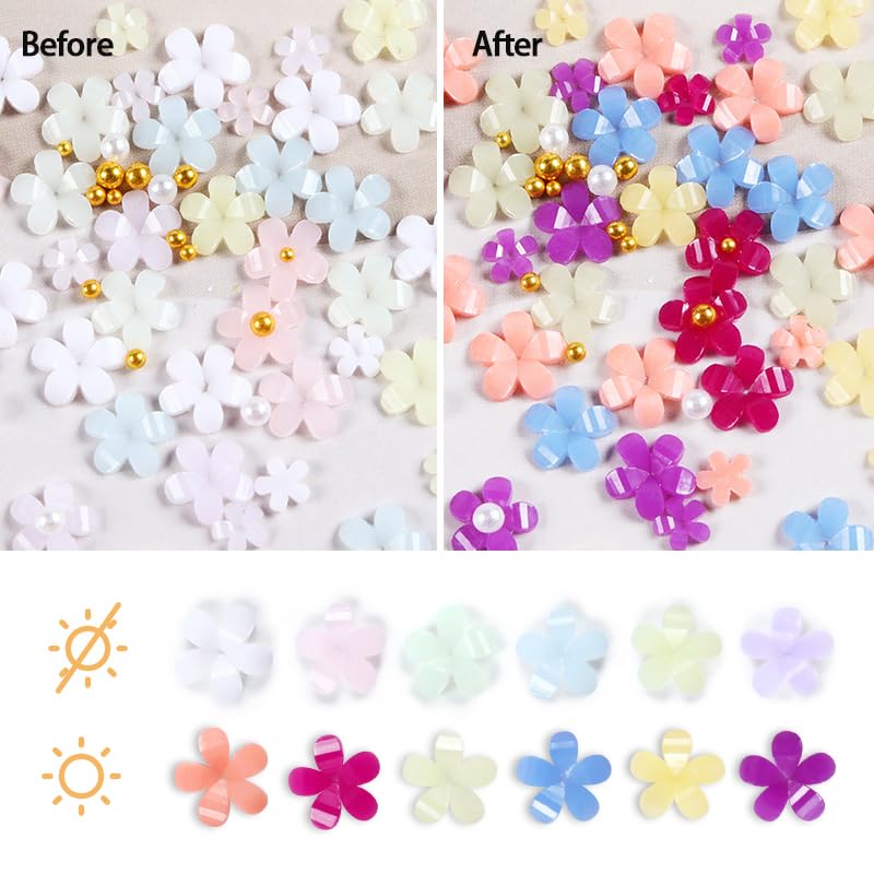 Flymind 3D Flower Nail Charms, 2 Boxes Light Change Acrylic Resin Flowers Nail Design Metal Caviar Beads for Manicure DIY Decoration with 2 Pickup Pencils for Women Girls