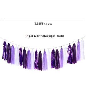 Purple White Lavender Party-Decorations Tassel-Garland - 20pcs Women Girl Birthday Supplies Tassels, Baby Bridal Shower Wedding Engagement Bachelorette Graduation Decor Panduola