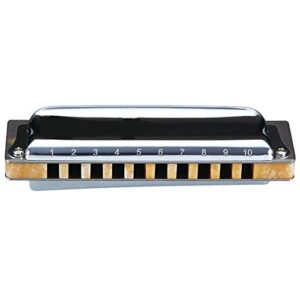 waazvxs m20 diatonic harmonica 10 holes 20 notes blues harp key of c d professional musical instruments (color : key of low f)