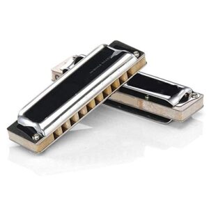 WAAZVXS M20 Diatonic Harmonica 10 Holes 20 Notes Blues Harp Key of C D Professional Musical Instruments (Color : Key of Low F)