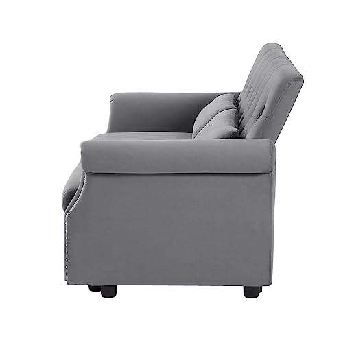 Runboll 55" Loveseat Pull Out Sleeper Sofa Bed Shiny Velvet Adjustable Backrest 2 Seater Couch Bed with 2 Caster Wheels, Lumbar Pillows, Removable Armrest (Grey)