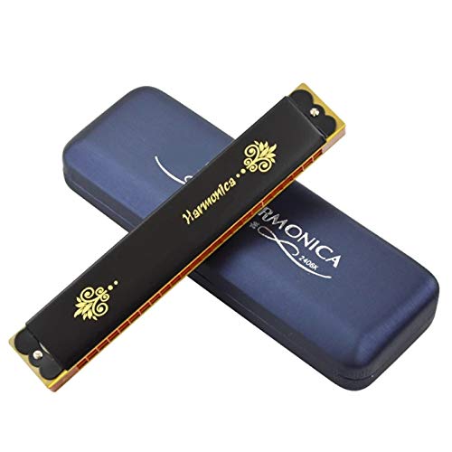 WAAZVXS Tremolo Harmonica 24 Holes Mouth Organ ABS Comb Brass Reeds Harp Musical Instruments Key C Professional (Color : Key of C)