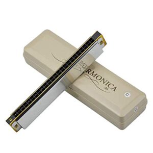 WAAZVXS 2 Timer Tremolo Harmonica 24 Holes Traditional Dual Notes Key C Harp Brass Reeds Musical Instruments