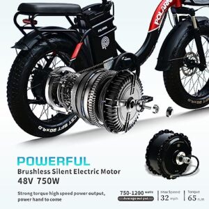 POLARNA Electric Bike for Adults 20" ebike 750W Motor Samsung 48V 30Ah Removable Battery Fat Tire Electric Bike Mountain Beach Snow Bike 30MPH…