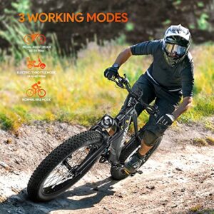 Osoeri 26'' x 4'' Fat Tire Electric Bike for Adults, 65Miles Range 48V 20Ah LG Cells Battery Ebike, 750W Brushless Motor 28MPH Shimano 7-Speed Electric Bicycle, Lockable Suspension Fork, Black