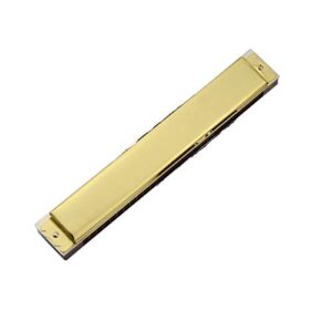 waazvxs harmonica 28 holes professional mouth organ harp instrumentos key c music instruments t28-3 silver gold (color : golden key of c)