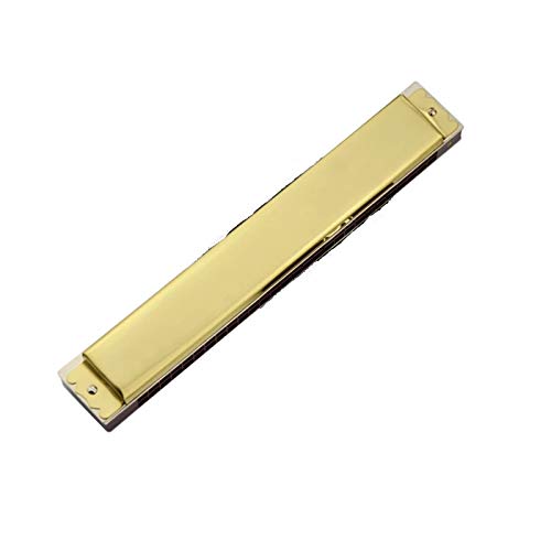 WAAZVXS Harmonica 28 Holes Professional Mouth Organ Harp Instrumentos Key C Music Instruments T28-3 Silver Gold (Color : Golden Key of C)