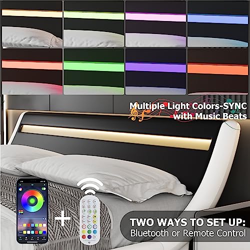 TTVIEW Low Profile Full Size LED Bed Frame with Adjustable Headboard, Modern Upholstered Platform Bed with Wood Slats Support, No Box Spring Needed, Black+White