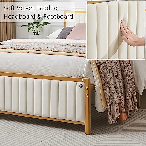 VECELO Queen Bed Frame with Upholstered Tufted Headboard & Footboard, Heavy Duty Steel Slats Platform, No Box Spring Needed, Gold