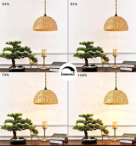 Plug in Pendant Light Rattan Hanging Lights with Plug in Cord Bamboo Hanging Lamp Dimmable,Woven Boho Wicker Basket Lamp Shade,Hemp rope Plug in Ceiling Light Fixture for Living Room Bedroom Kitchen